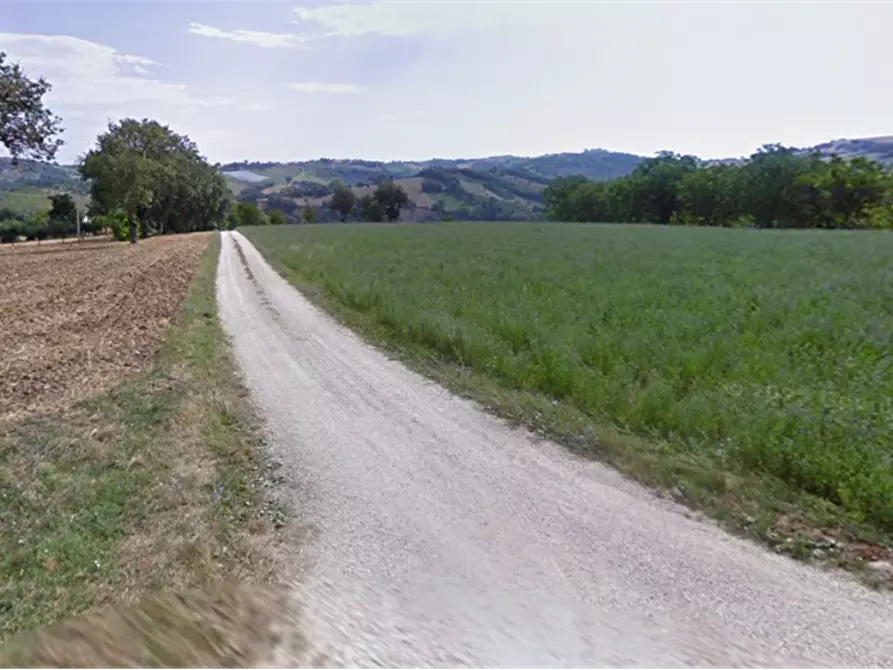 Immagine 5 di Terreno agricolo in vendita  in Strada provinciale strada Provinciale per Alteta fino al Fosso il Rio a Montegiorgio