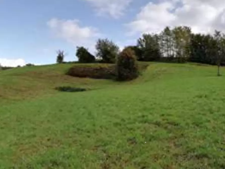 Immagine 3 di Terreno agricolo in vendita  in Via Poletti a Fara Vicentino