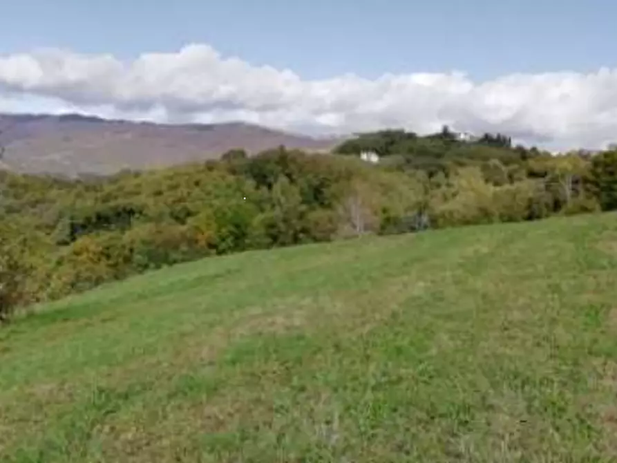 Immagine 4 di Terreno agricolo in vendita  in Via Poletti a Fara Vicentino