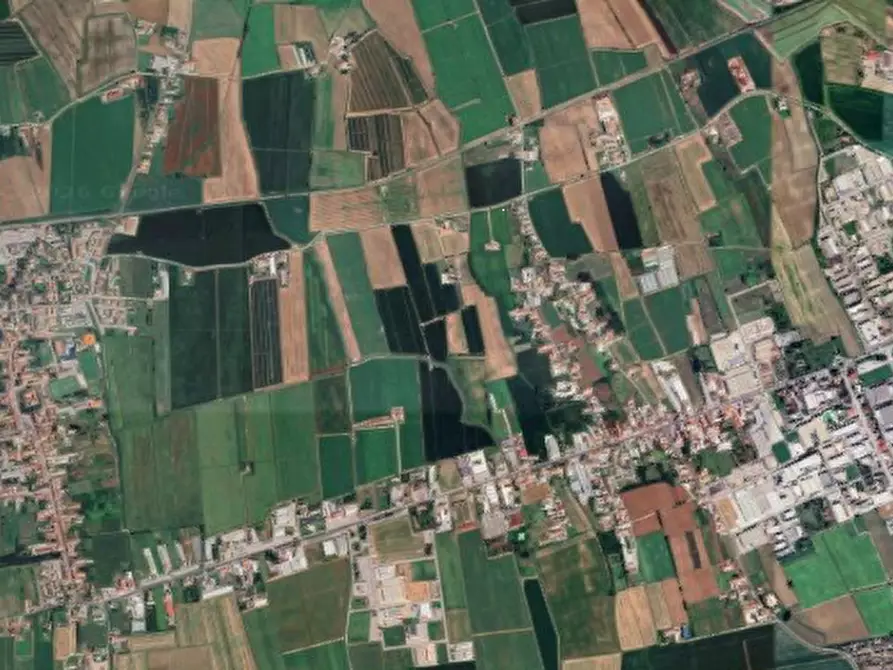 Immagine 13 di Appartamento in vendita  in Via Tregnon  a Nogara