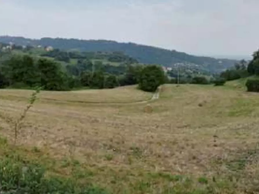 Immagine 3 di Terreno agricolo in vendita  in Via Altura a Salcedo