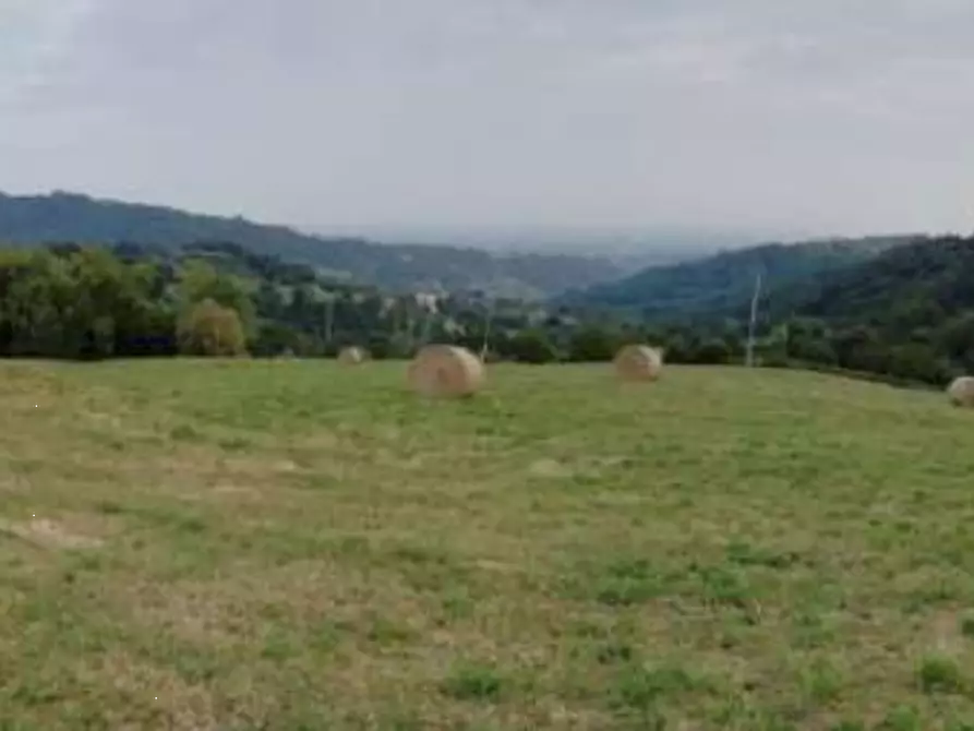 Immagine 6 di Terreno agricolo in vendita  in Via Altura a Salcedo