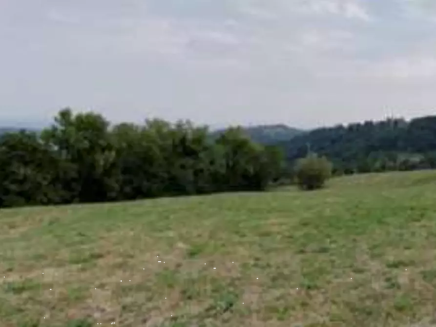 Immagine 7 di Terreno agricolo in vendita  in Via Altura a Salcedo