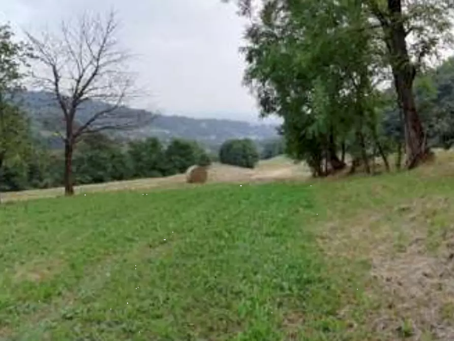 Immagine 8 di Terreno agricolo in vendita  in Via Altura a Salcedo