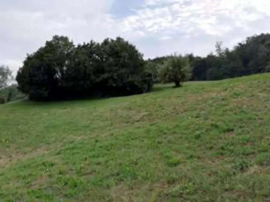 Immagine 9 di Terreno agricolo in vendita  in Via Altura a Salcedo