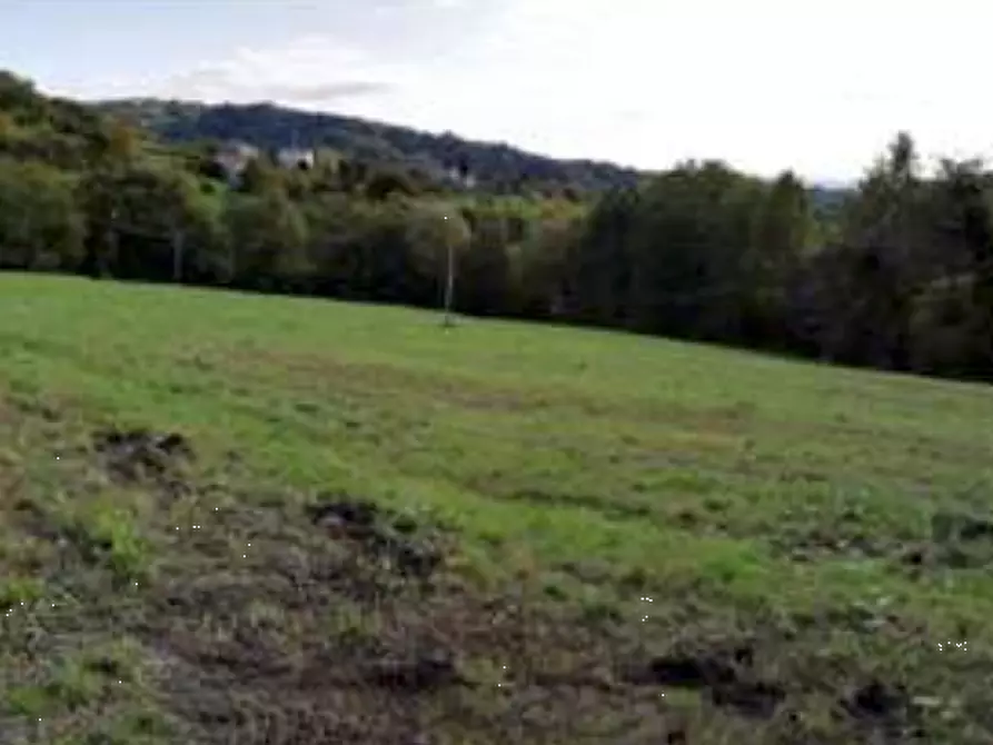 Immagine 11 di Terreno agricolo in vendita  in Via Altura a Salcedo