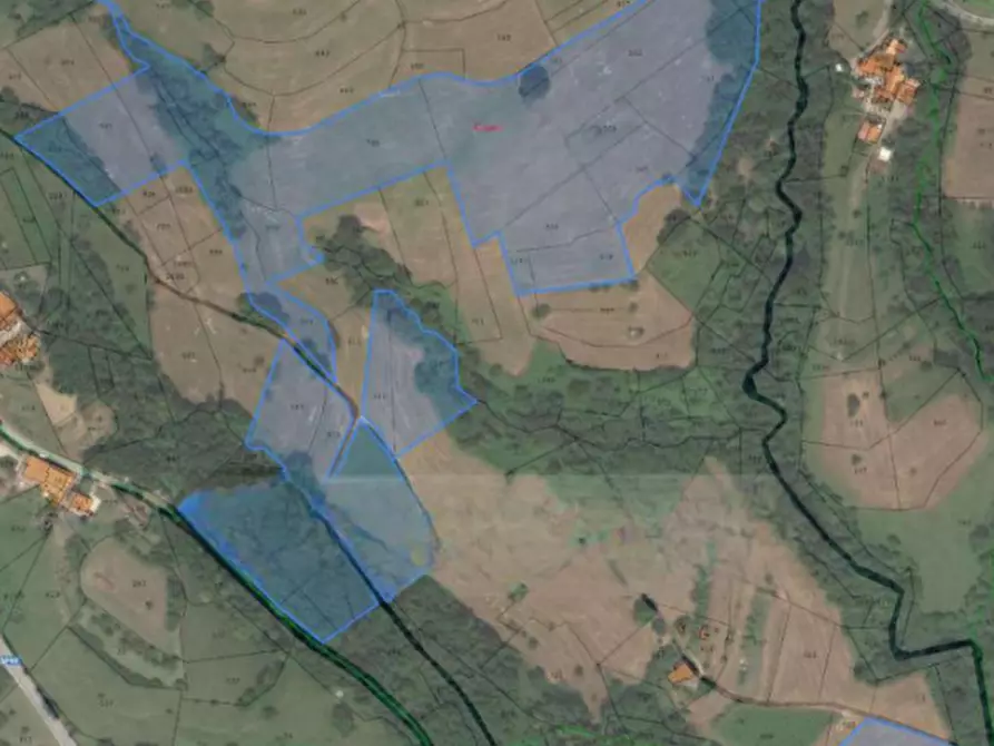 Immagine 17 di Terreno agricolo in vendita  in Via Altura a Salcedo