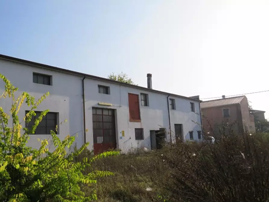 Immagine 2 di Capannone industriale in vendita  in Via Cadabese a Cerea