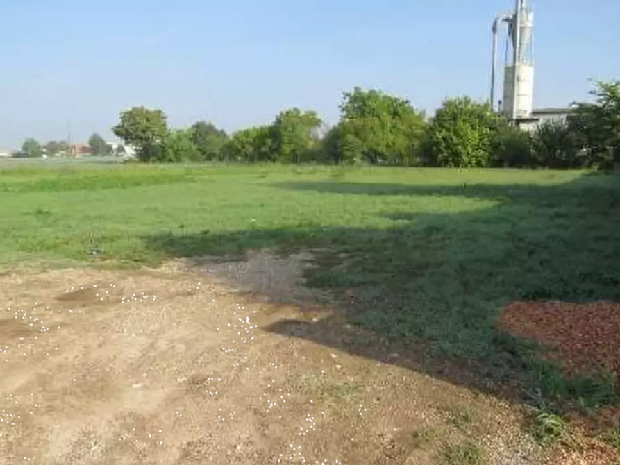 Immagine 9 di Capannone industriale in vendita  in Via Cadabese a Cerea