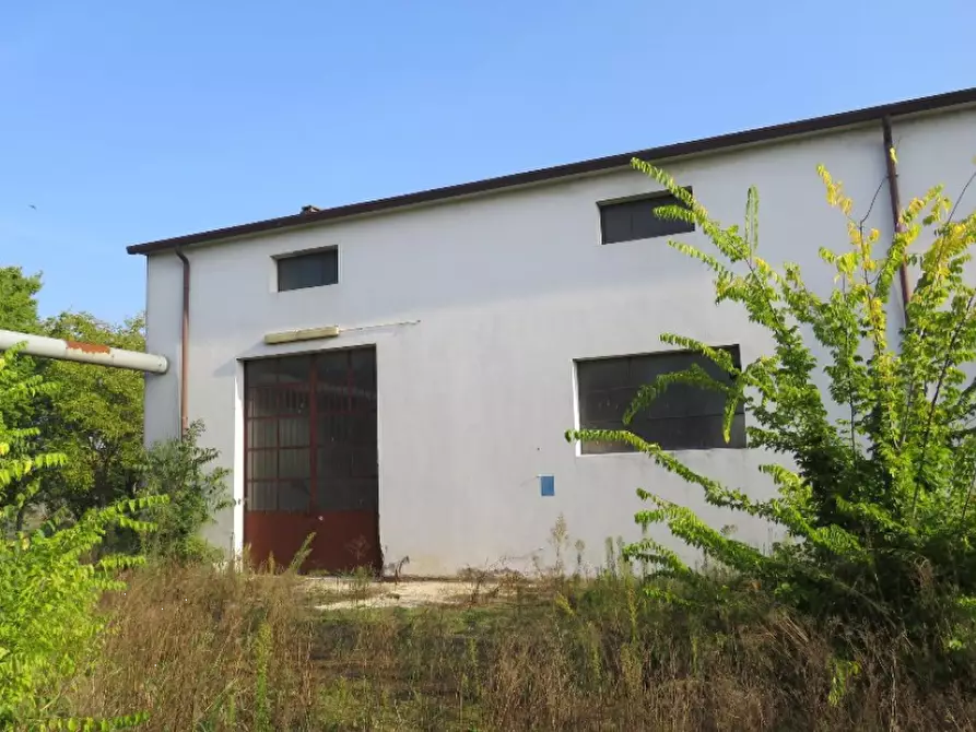Immagine 12 di Capannone industriale in vendita  in Via Cadabese a Cerea