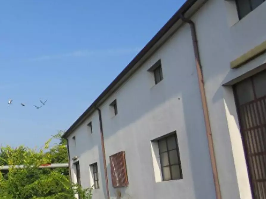 Immagine 17 di Capannone industriale in vendita  in Via Cadabese a Cerea