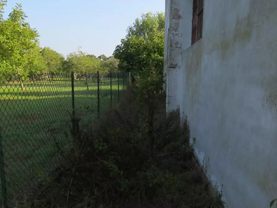 Immagine 26 di Capannone industriale in vendita  in Via Cadabese a Cerea