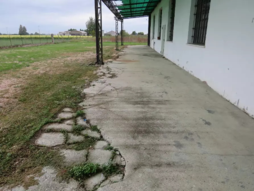 Immagine 11 di Laboratorio in vendita  in Via Oppioli a Cerea