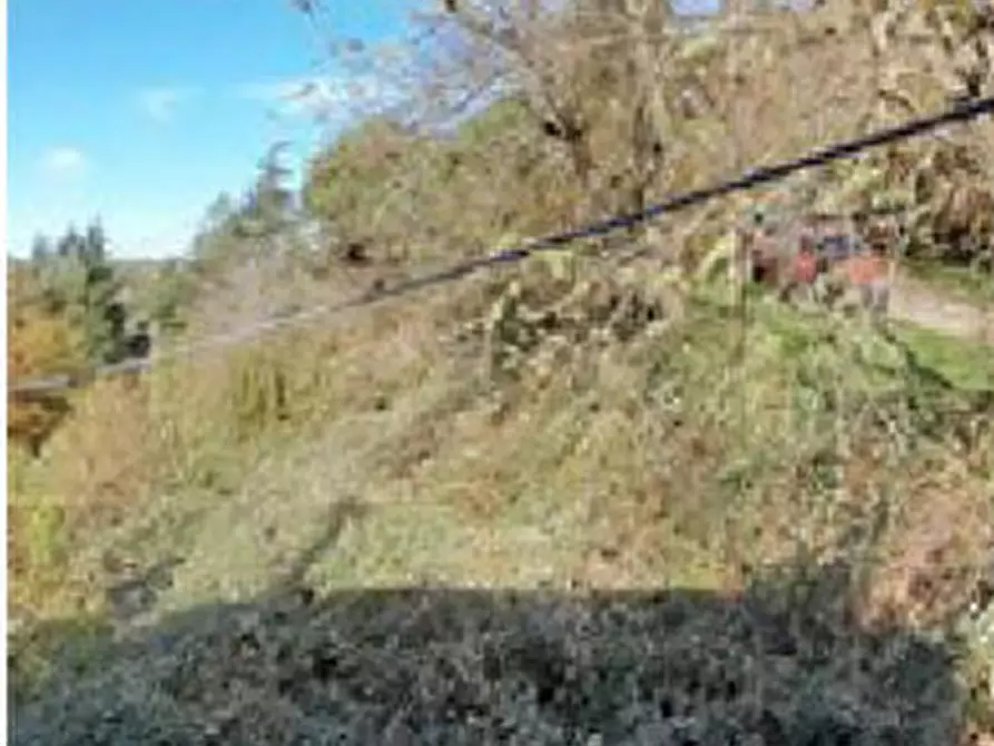 Immagine 5 di Appartamento in vendita  in Località Bucigna a Londa