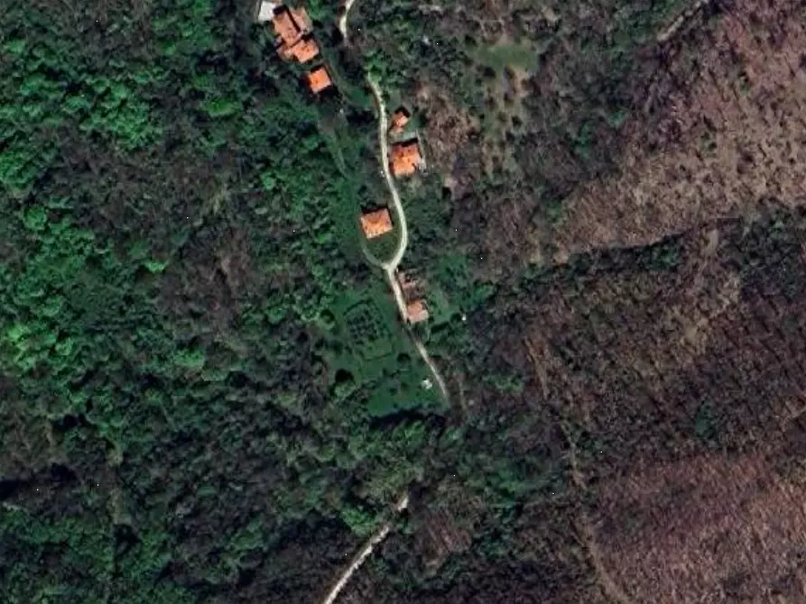 Immagine 7 di Appartamento in vendita  in Località Bucigna a Londa