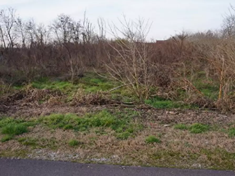 Immagine 1 di Terreno edificabile in vendita  in via della Libertà a Gazzuolo