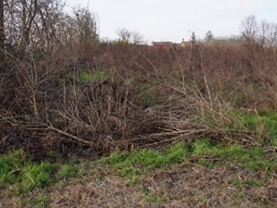 Immagine 2 di Terreno edificabile in vendita  in via della Libertà a Gazzuolo