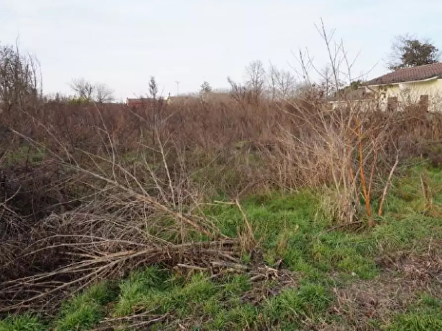 Immagine 4 di Terreno edificabile in vendita  in via della Libertà a Gazzuolo