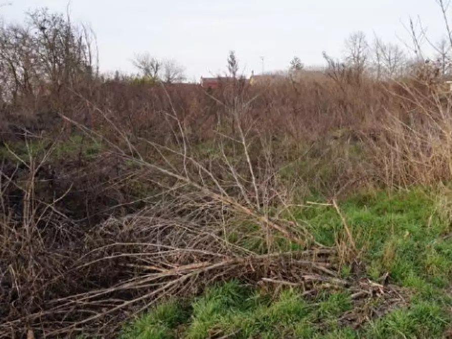 Immagine 5 di Terreno edificabile in vendita  in via della Libertà a Gazzuolo