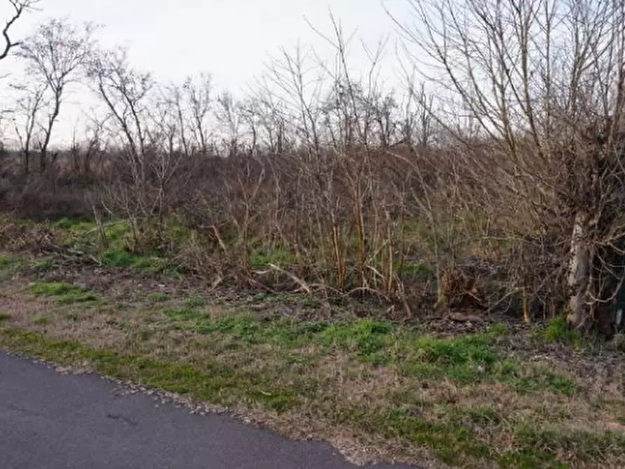 Immagine 6 di Terreno edificabile in vendita  in via della Libertà a Gazzuolo