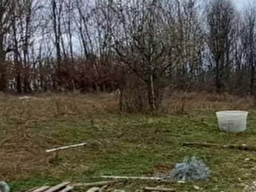 Immagine 5 di Terreno agricolo in vendita  in Via XVIII Giugno  a Crocetta Del Montello