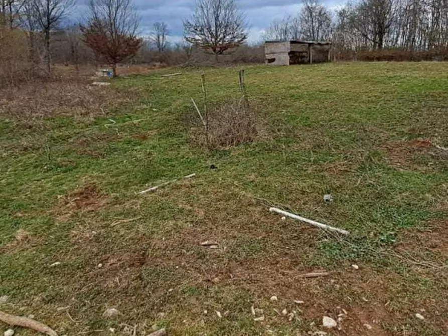 Immagine 7 di Terreno agricolo in vendita  in Via XVIII Giugno  a Crocetta Del Montello