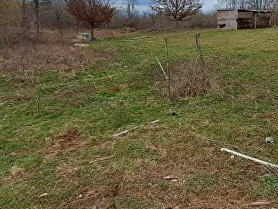 Immagine 8 di Terreno agricolo in vendita  in Via XVIII Giugno  a Crocetta Del Montello