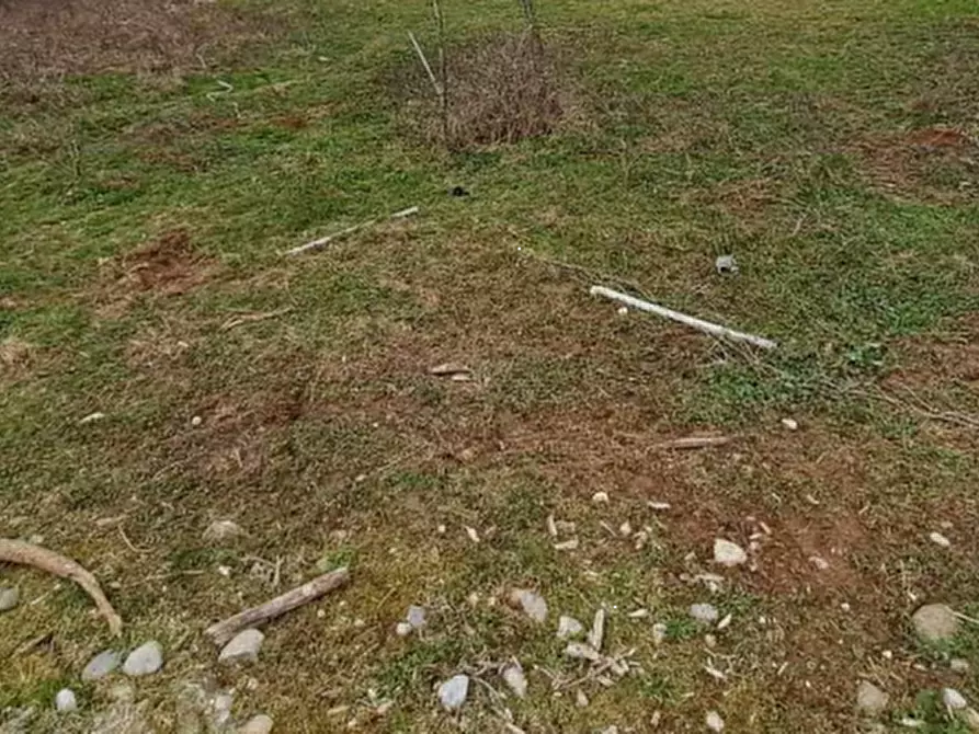 Immagine 9 di Terreno agricolo in vendita  in Via XVIII Giugno  a Crocetta Del Montello