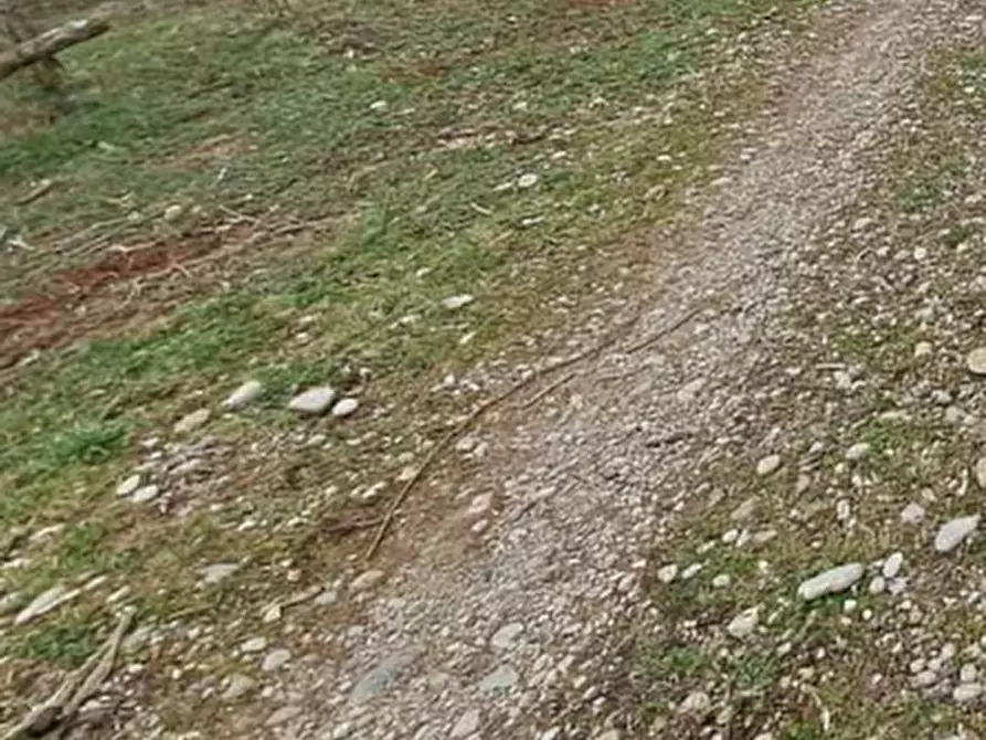 Immagine 10 di Terreno agricolo in vendita  in Via XVIII Giugno  a Crocetta Del Montello