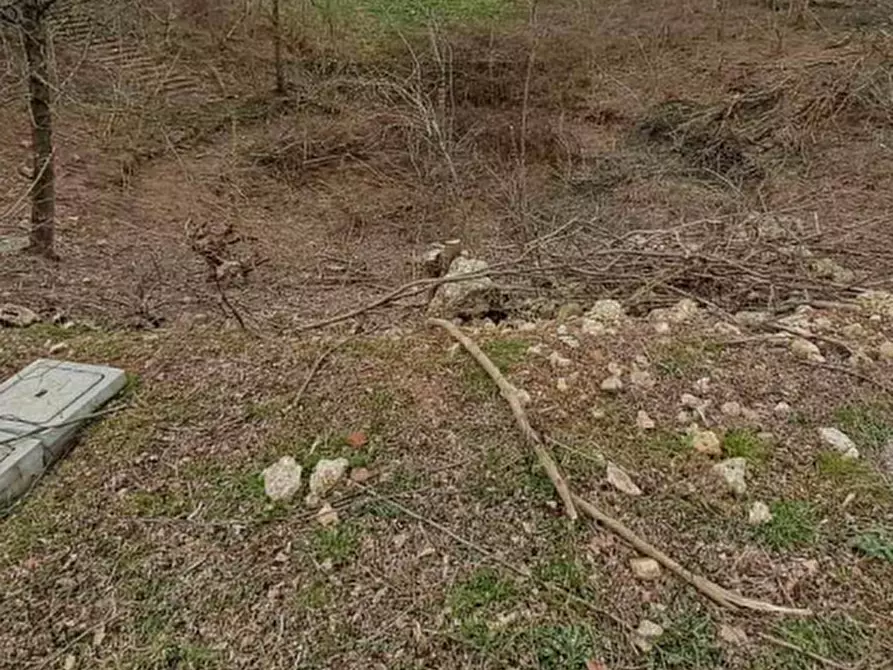 Immagine 12 di Terreno agricolo in vendita  in Via XVIII Giugno  a Crocetta Del Montello