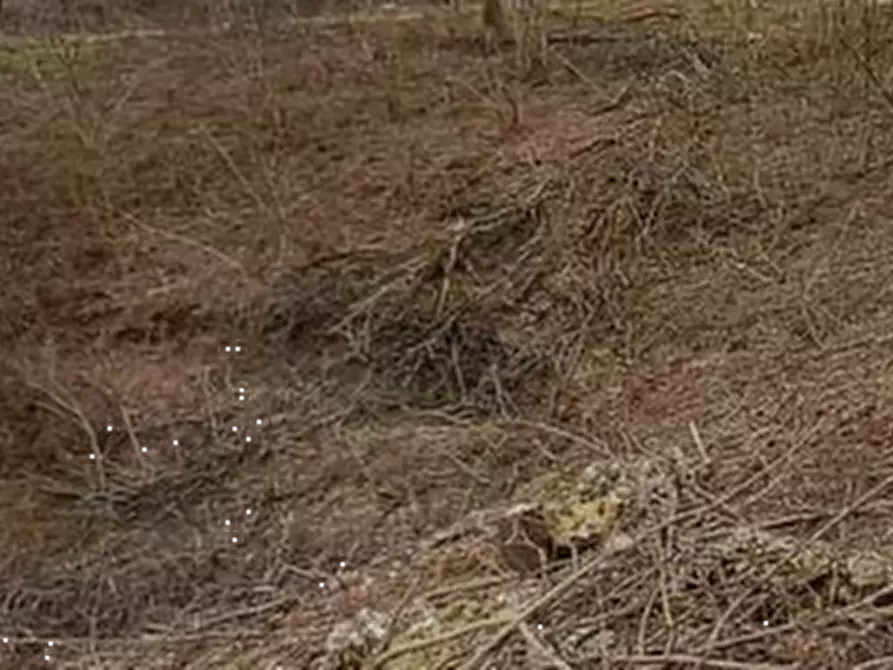 Immagine 13 di Terreno agricolo in vendita  in Via XVIII Giugno  a Crocetta Del Montello