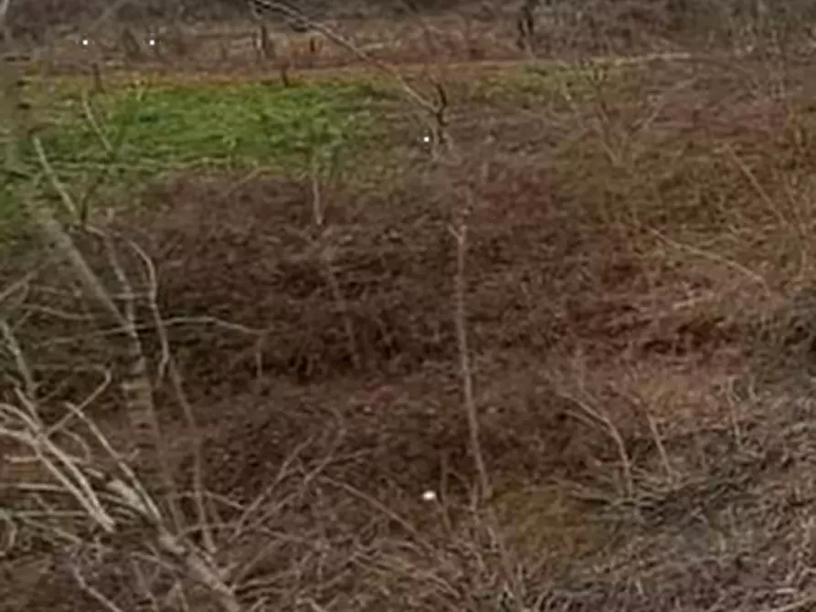 Immagine 14 di Terreno agricolo in vendita  in Via XVIII Giugno  a Crocetta Del Montello