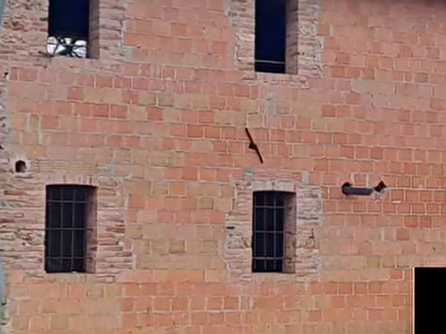 Immagine 16 di Terreno agricolo in vendita  in Via XVIII Giugno  a Crocetta Del Montello