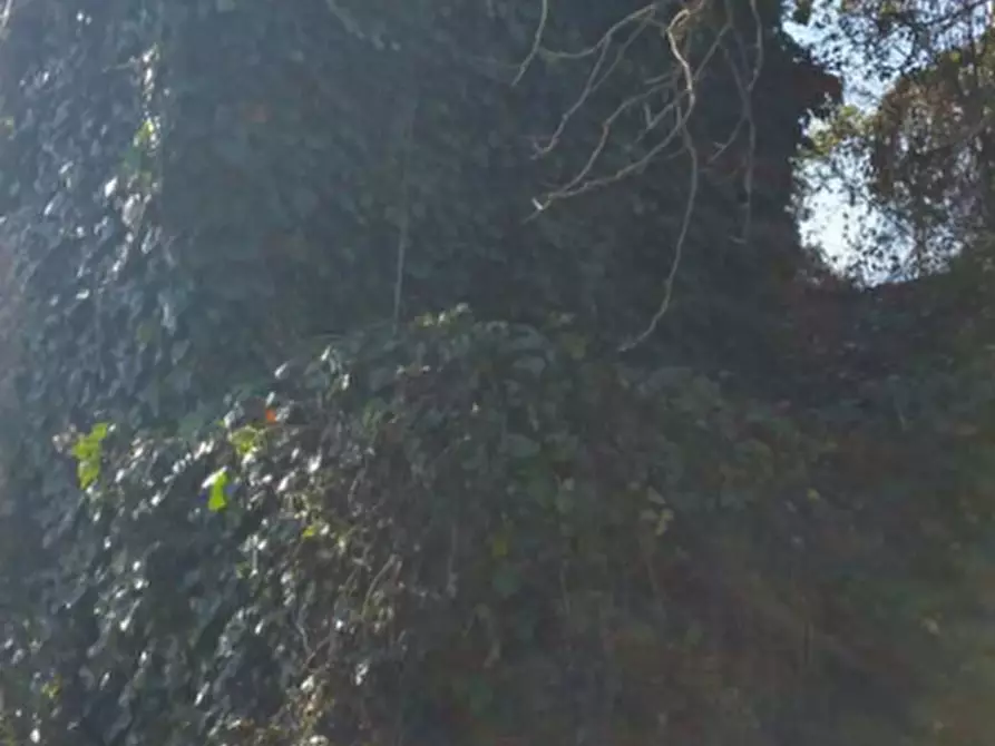 Immagine 1 di Rustico / casale in vendita  in Contrada Fossalto a Fabro