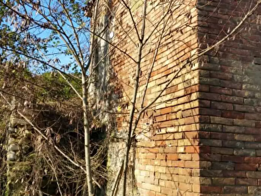 Immagine 3 di Rustico / casale in vendita  in Contrada Fossalto a Fabro