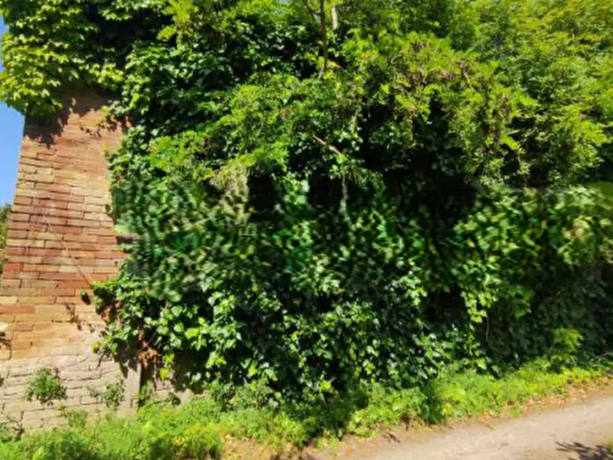 Immagine 6 di Rustico / casale in vendita  in Contrada Fossalto a Fabro