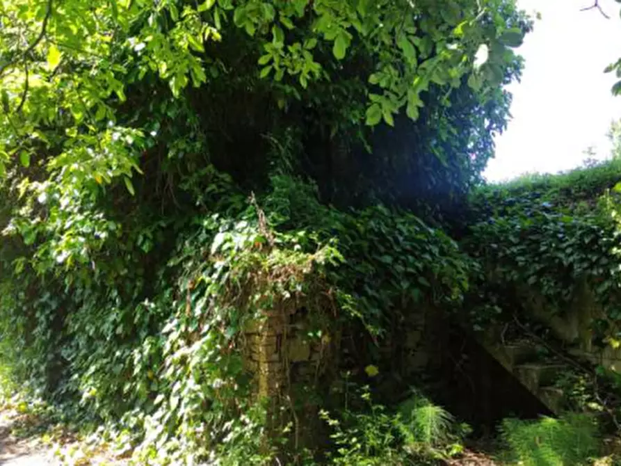 Immagine 7 di Rustico / casale in vendita  in Contrada Fossalto a Fabro