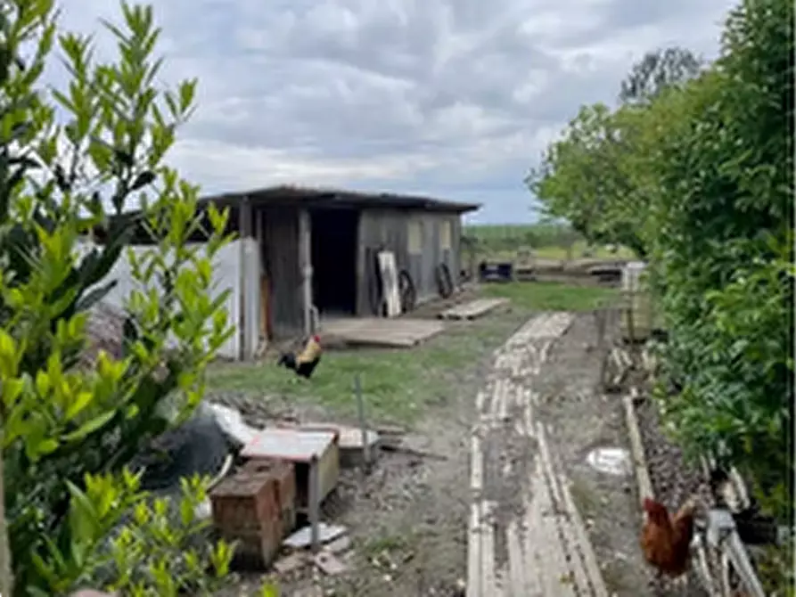 Immagine 6 di Porzione di casa in vendita  in Via Crosere a Concordia Sagittaria