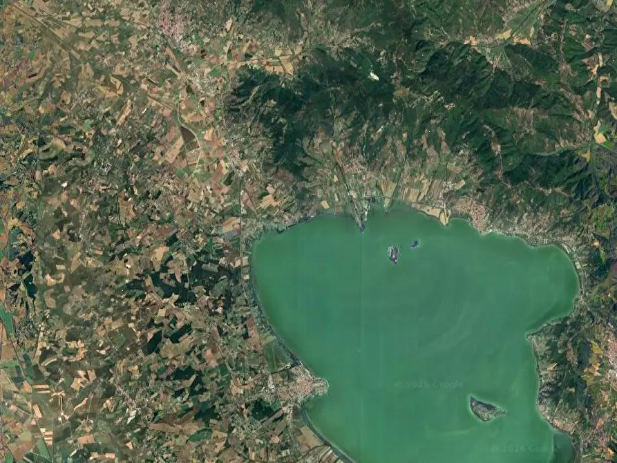 Immagine 12 di Stabile in vendita  in Via Umbria a Tuoro Sul Trasimeno