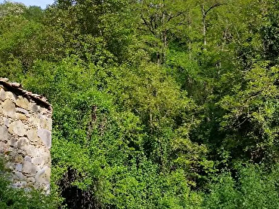 Immagine 6 di Rustico / casale in vendita  in Localita Carnaiola a Fabro