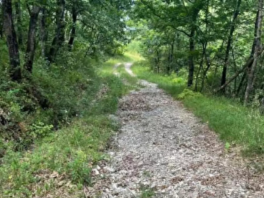 Immagine 5 di Casa indipendente in vendita  in Via Malcantone  a Savigno