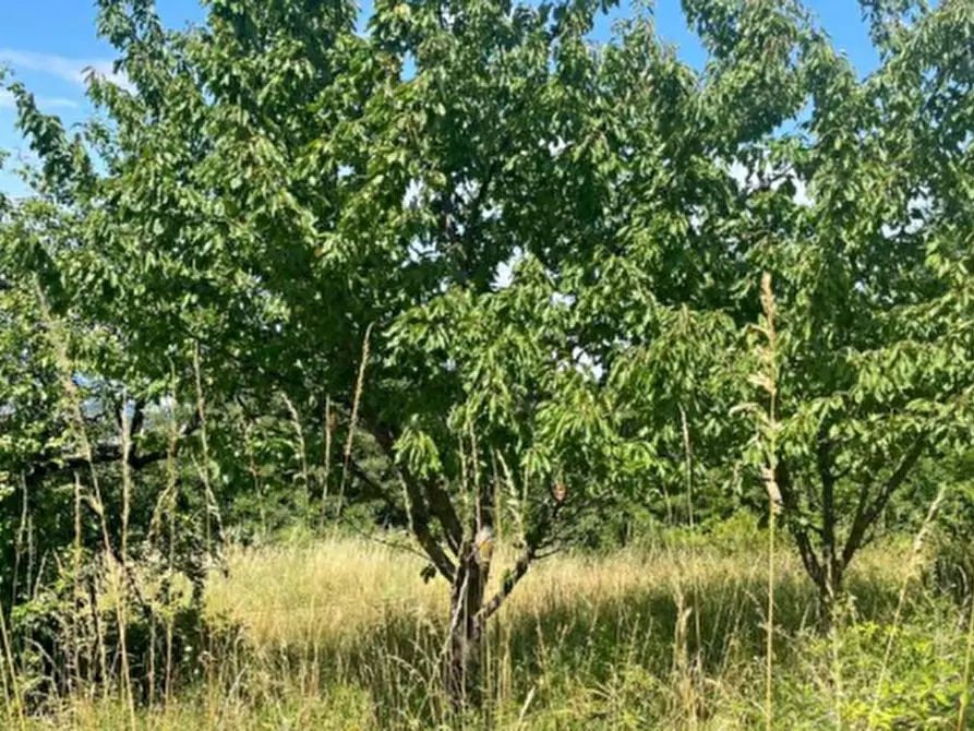 Immagine 16 di Casa indipendente in vendita  in Via Malcantone  a Savigno