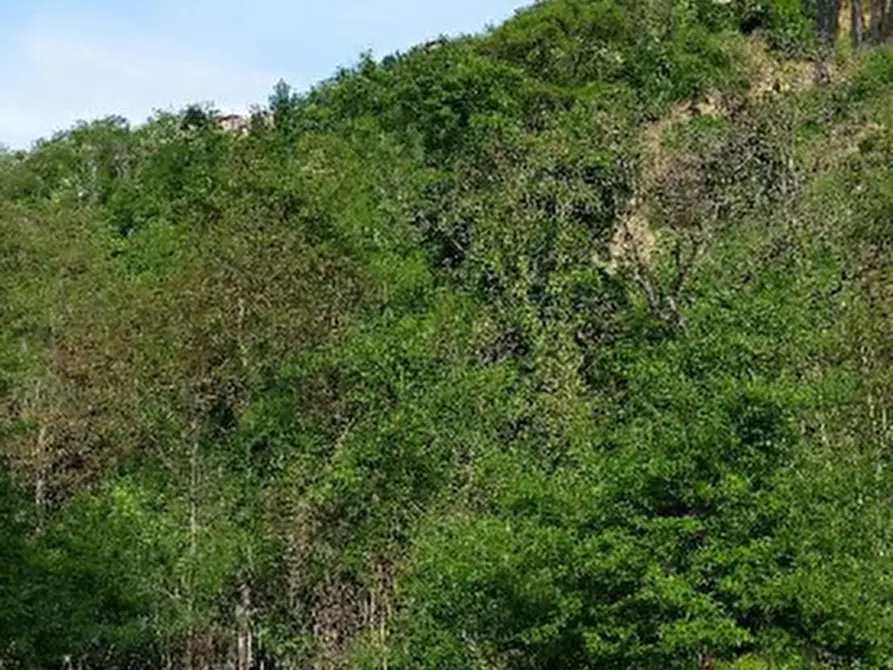 Immagine 7 di Rustico / casale in vendita  in Localita Carnaiola a Fabro