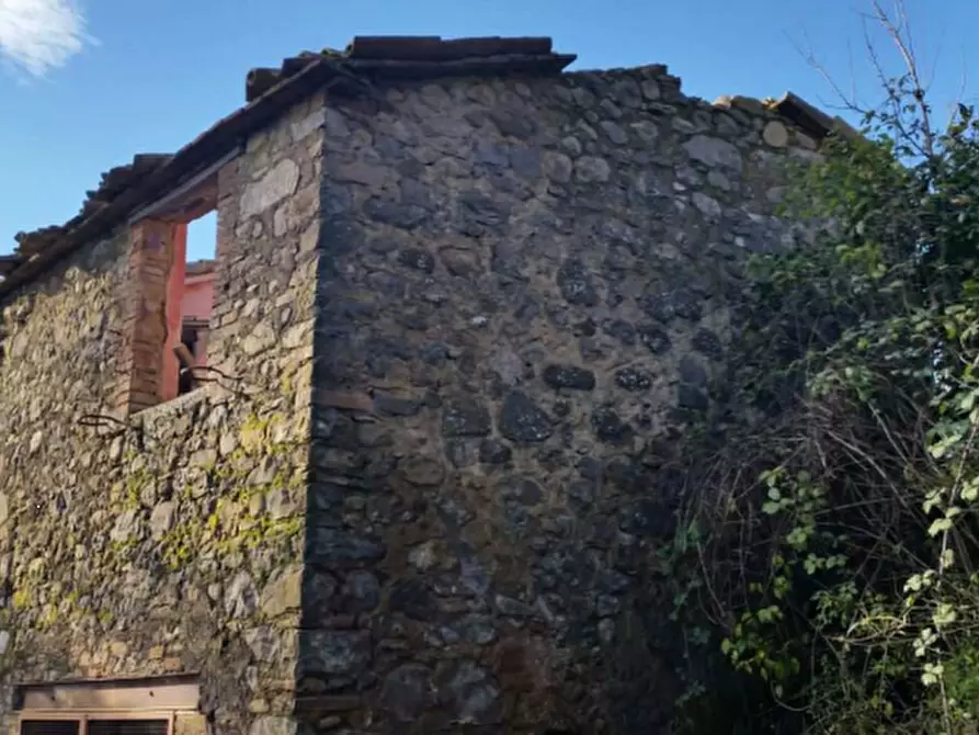Immagine 2 di Rustico / casale in vendita  in Località Pietrara a Ficulle