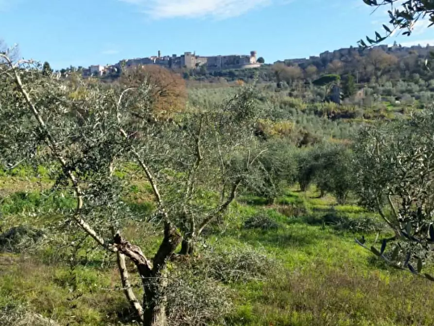 Immagine 3 di Rustico / casale in vendita  in Località Pietrara a Ficulle