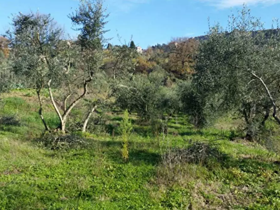 Immagine 4 di Rustico / casale in vendita  in Località Pietrara a Ficulle