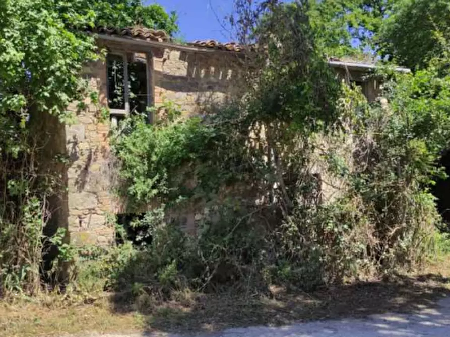 Immagine 5 di Rustico / casale in vendita  in Località Pietrara a Ficulle