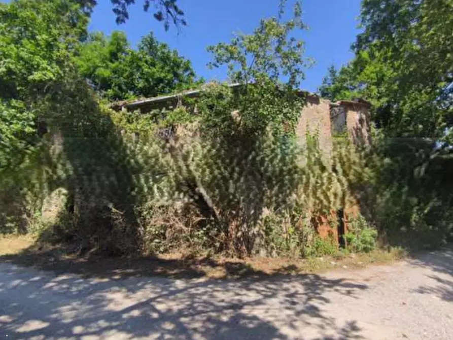 Immagine 6 di Rustico / casale in vendita  in Località Pietrara a Ficulle