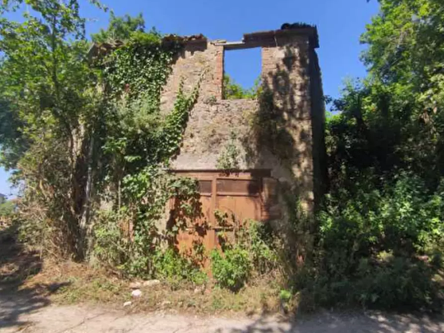 Immagine 7 di Rustico / casale in vendita  in Località Pietrara a Ficulle