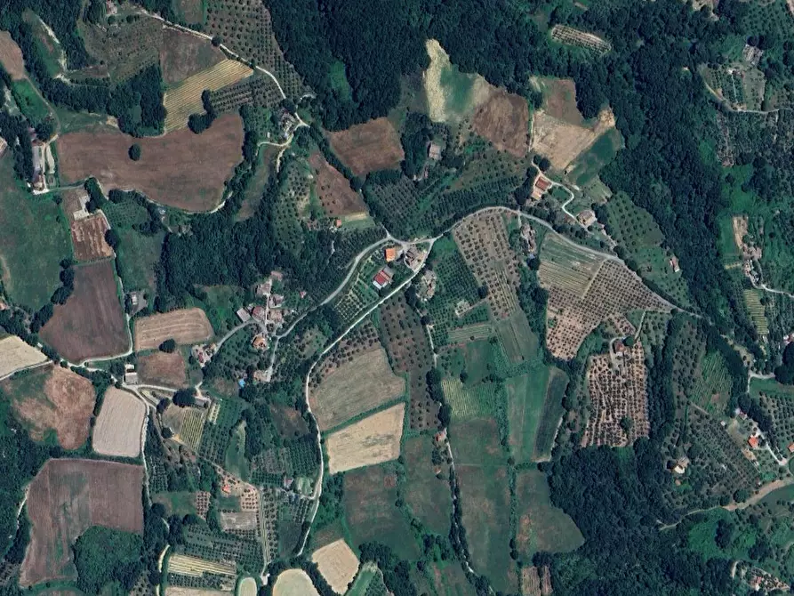 Immagine 22 di Rustico / casale in vendita  in Località Pietrara a Ficulle